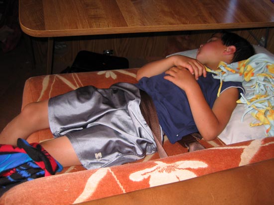 2006 family reunion in Yellowstone National Park